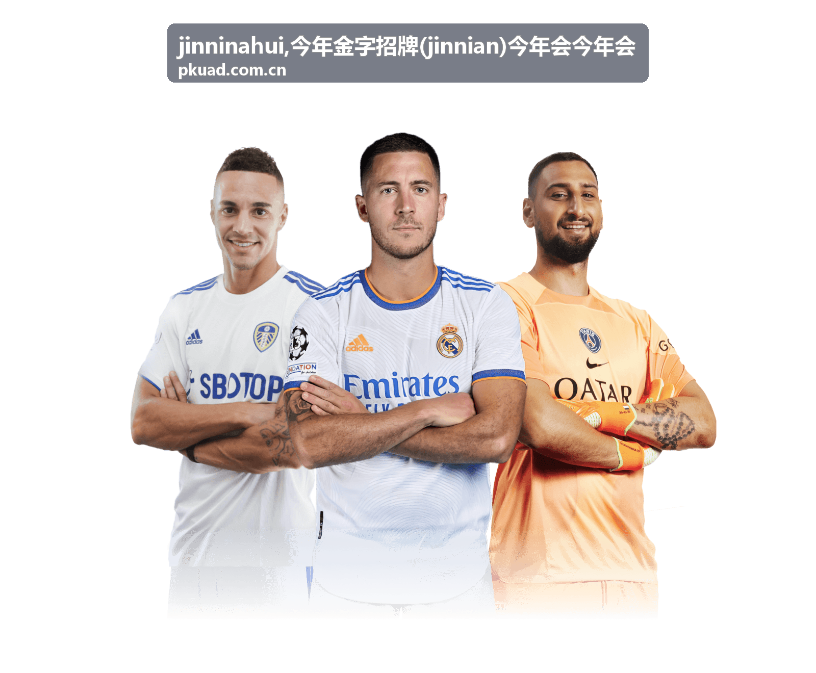 今年金字招牌专题图，展示 jinninahui 与 jinnian 内容关系